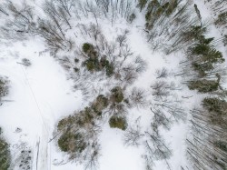 Rue du Moulin  Saint-Jean-De-Brébeuf, QC G6G 0A1
