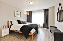 Chambre à coucher principale - 