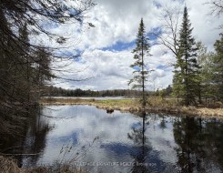 1170 Peter Road Bracebridge, ON P1L 1X3