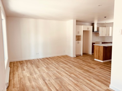 Overall view - 305 Rue St-Roch, Saint-Donat, QC - Indoor Photo Showing Kitchen