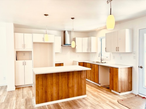 Kitchen - 305 Rue St-Roch, Saint-Donat, QC - Indoor Photo Showing Kitchen With Double Sink