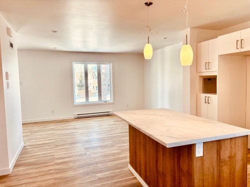 Overall view - 305 Rue St-Roch, Saint-Donat, QC - Indoor Photo Showing Other Room