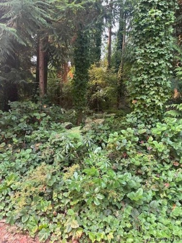156 Harlech Rd, Qualicum Beach, BC 