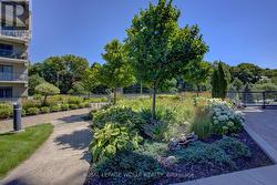 COMMON GARDENS - 