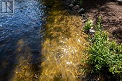 Sandy Bay - 