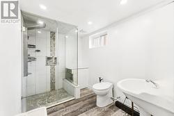 Basement bath - 
