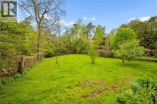 Expansive green lawn surrounded by mature trees - 786 S Stirling Avenue S, Kitchener, ON - Outdoor