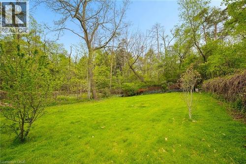 Expansive green lawn surrounded by mature trees and lush foliage - 786 S Stirling Avenue S, Kitchener, ON - Outdoor