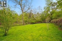 Expansive green lawn surrounded by mature trees and lush foliage - 