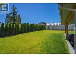 Large well-maintained backyard - 
