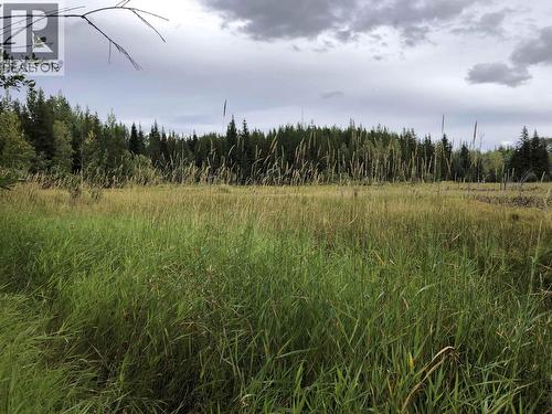 Dl 4260 E Palling Road, Burns Lake, BC 