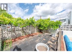 Backyard - 