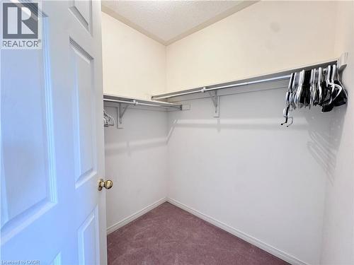 Walk-in closet with carpet flooring, white painted walls, and built-in closet organization system - 110 Highland Road E Unit# 53, Kitchener, ON - Indoor With Storage