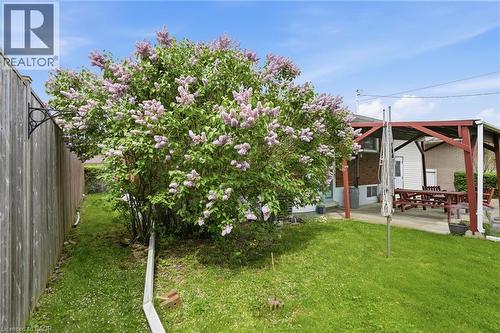 34 Beaconsfield Drive, Hamilton, ON - Outdoor