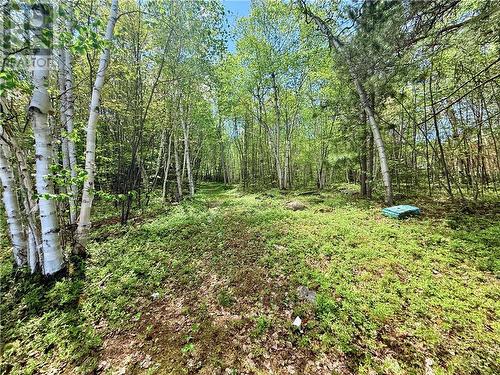 684 Pine Cone, Sudbury, ON 