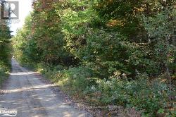 LOT 20 CONCESSION 5 ROAD Huntsville (Brunel), ON P1H 2J3