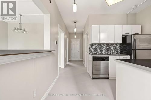192 Catharine Street, Hamilton, ON - Indoor Photo Showing Kitchen With Upgraded Kitchen