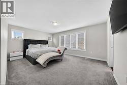 Spacious room with light gray walls, gray carpeting, and multiple windows providing natural light - 