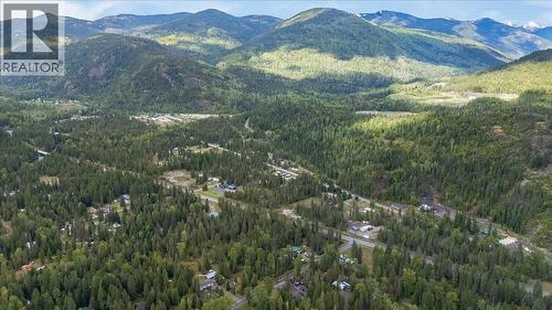 118 Liness Road, Salmo, BC 