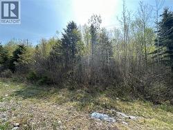 Golden Grove Mountain Rothesay, NB E2H 2X1