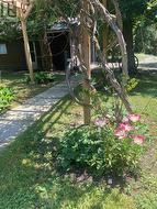 Mature gardens - 