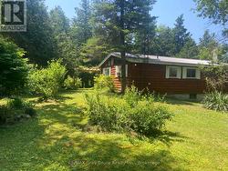 VIew from the side yard - 