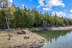 28 Stewarts Point shoreline - 