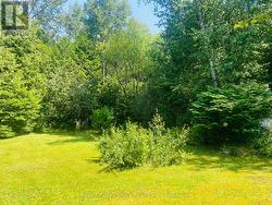 SIde yard beyond the garage - 