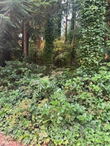 156&160 Harlech Rd, Qualicum Beach, BC 