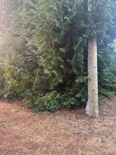 156&160 Harlech Rd, Qualicum Beach, BC 