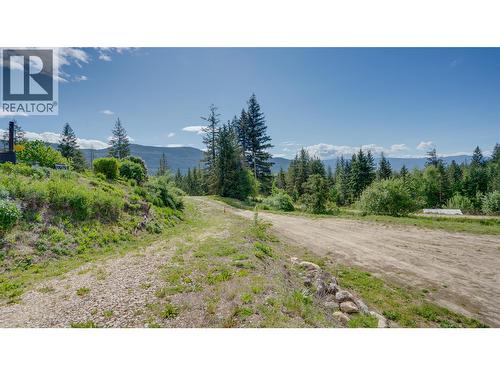 48 Stroulger Road, Enderby, BC - Outdoor With View