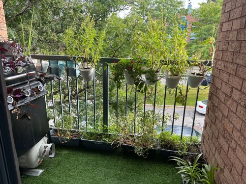 Balcony - 6-636 Av. Ampère, Laval (Laval-Des-Rapides), QC - Outdoor