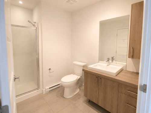 Bathroom - 2252 Rue Ste-Jeanne-D'Arc, Longueuil (Le Vieux-Longueuil), QC 
