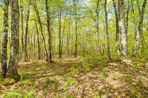 Exterior - 31 Ch. Champlain, Val-Des-Monts, QC - Outdoor With View