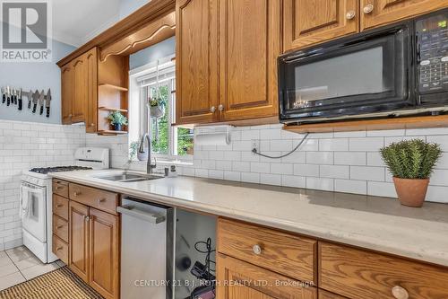 32 Samuel Street, Kitchener, ON - Indoor Photo Showing Kitchen With Double Sink