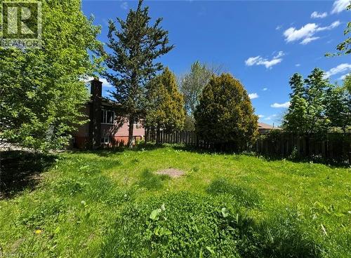 Expansive green space featuring a brick exterior structure with a prominent chimney, mature trees providing natural shading, a wooden privacy fence, and a clear sky backdrop - 28 Timberlane Crescent Unit# Upper, Kitchener, ON - Outdoor