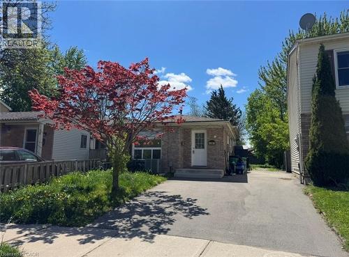 Brick exterior with white entry door and a red-leafed deciduous tree in the front yard - 28 Timberlane Crescent Unit# Upper, Kitchener, ON - Outdoor