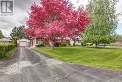 8 PATRICIA STREET  St. Thomas, ON N5P 2C6