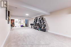 Plush carpet - 