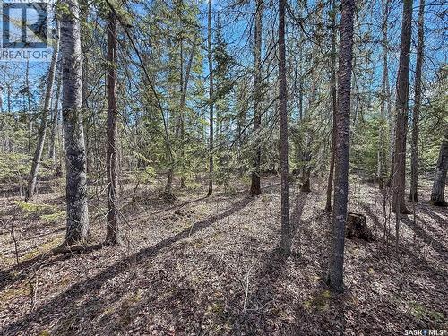 12 5Th Avenue, Candle Lake, SK - Outdoor With View