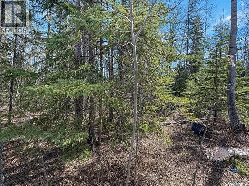 12 5Th Avenue, Candle Lake, SK - Outdoor With View
