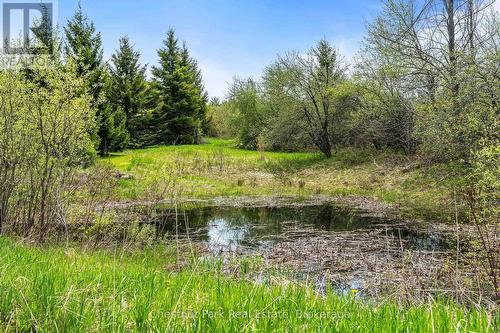 758510 2Nd Line E, Mulmur, ON - Outdoor