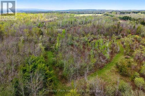 758510 2Nd Line E, Mulmur, ON - Outdoor With View
