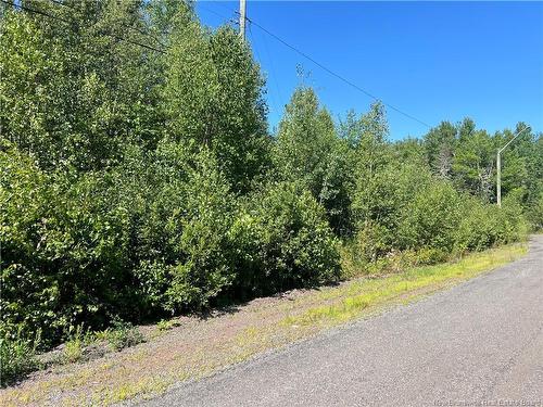 36 Lucas St, Irishtown, NB - Outdoor