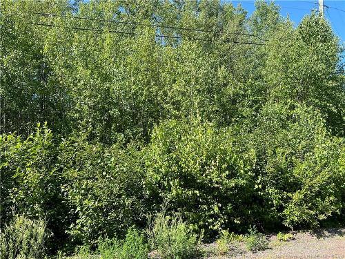 36 Lucas St, Irishtown, NB - Outdoor