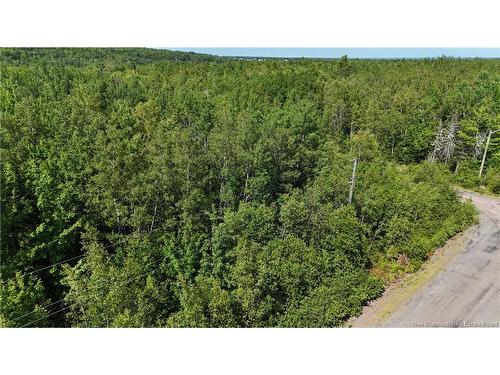 36 Lucas St, Irishtown, NB - Outdoor With View