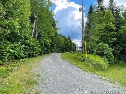 1466 Paradis Rd, Saint-Jacques, NB 