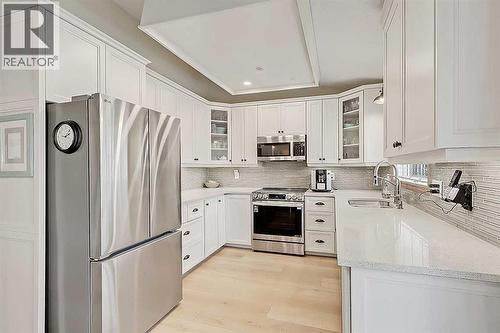 42 Sundown Close Se, Calgary, AB - Indoor Photo Showing Kitchen With Stainless Steel Kitchen With Upgraded Kitchen