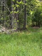 00 CONCESSION RD 11 E. Trent Hills, ON K0L 1Y0