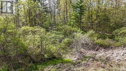 0 MINERAL SPRINGS ROAD Hamilton, ON L9G 4X1